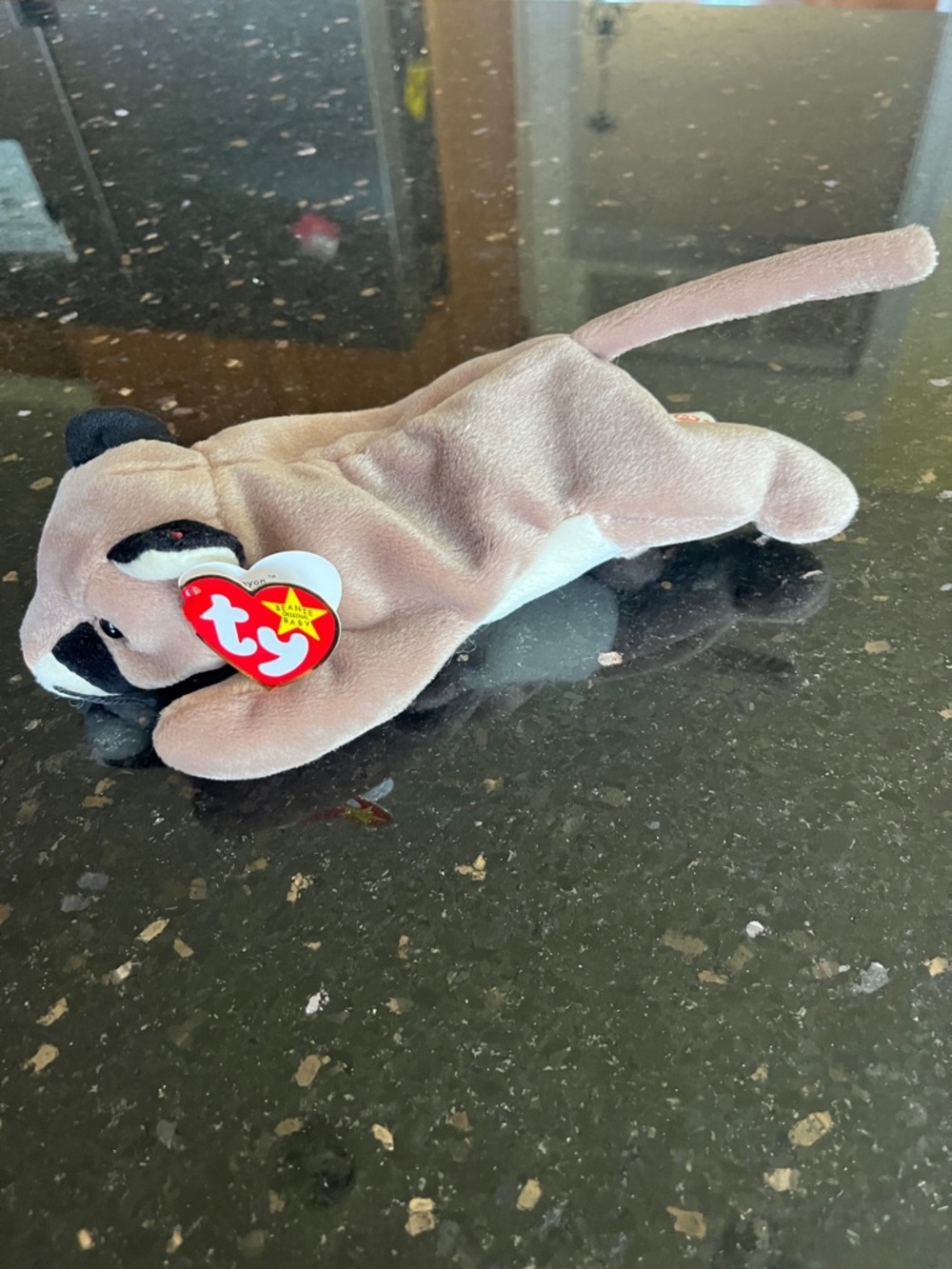 1998 Ty Beanie Baby Canyon May 29,1998 - Picture 2 of 5